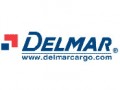 Delmar Corporate Presentation (805播放)