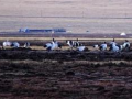 http://m.easycc.cn/news/show.php?itemid=31089