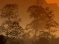 http://m.easycc.cn/news/show.php?itemid=31092